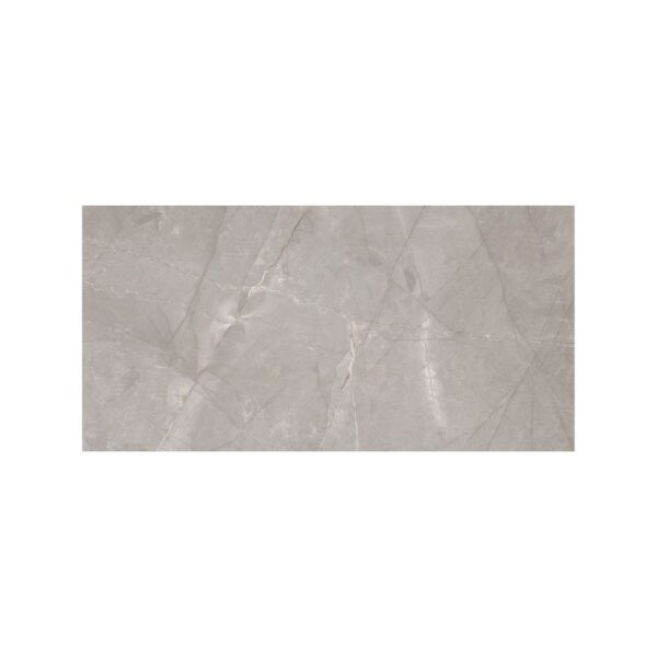 Bouquet Grey Shine 24x48 Polished tile