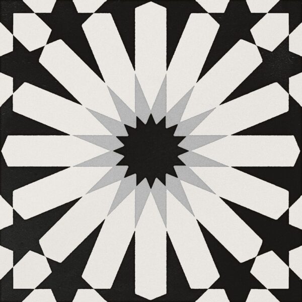 Cement Etna Aster Blk & Wht 8x8 Matte tile