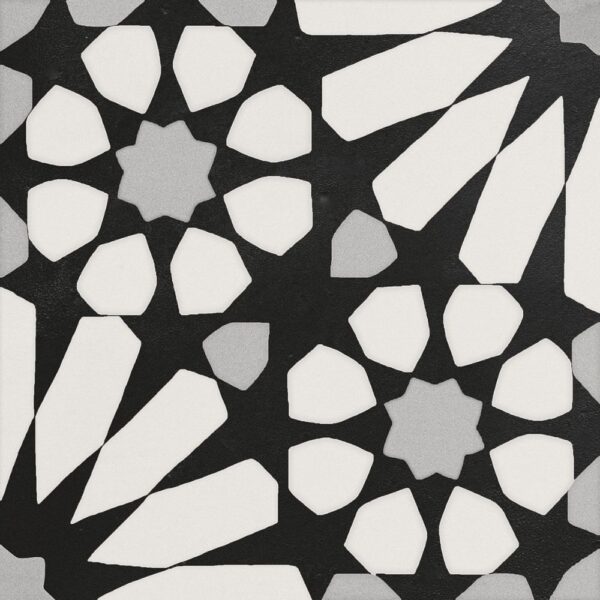 Cement Etna Big Aster Blk & Wht 8x8 Matte tile