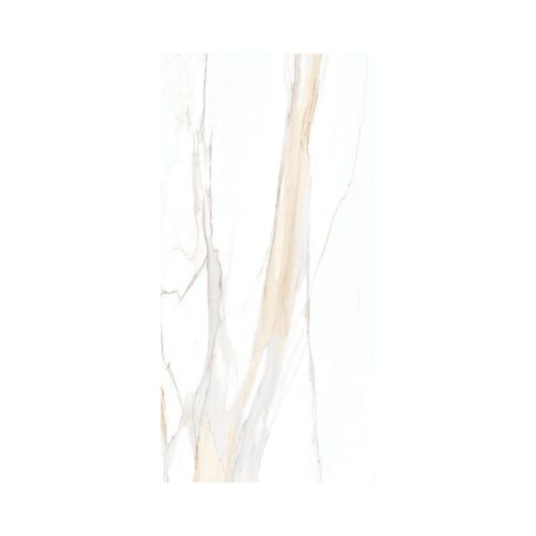 Ever-Stone Calacatta Gold 24x48 Polished tile