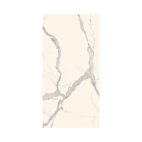 Ever-Stone Statuario 24x48 Polished tile