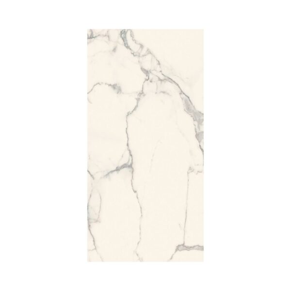 Ever-Stone Statuario 24x48 Satin tile