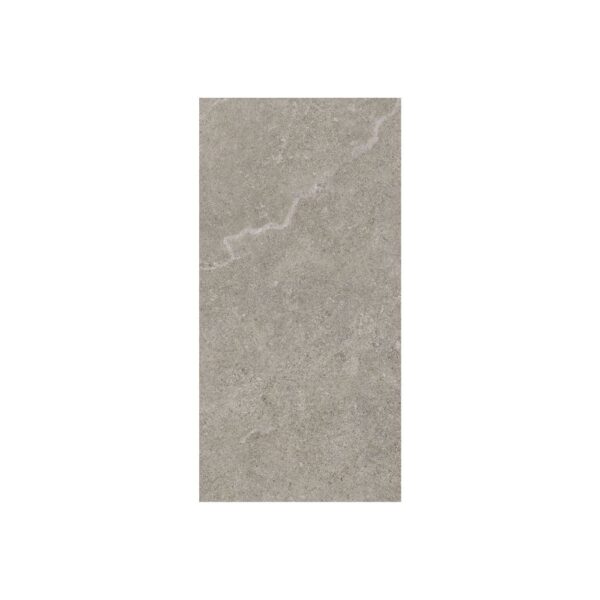 Fusion Greige 12x24 Matte tile