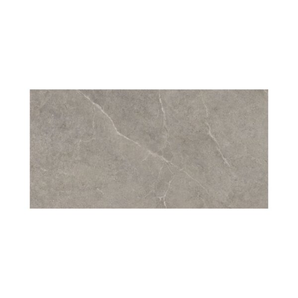 Fusion Greige 24x48 Matte tile