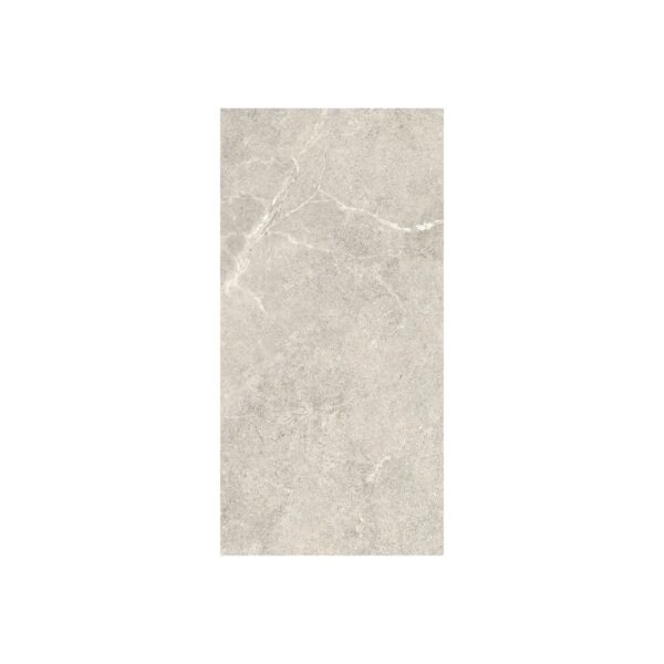 Fusion Silver 12x24 Matte tile