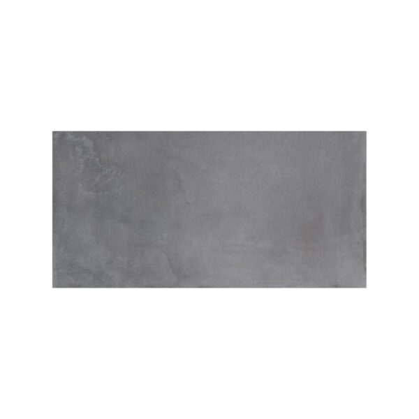 Legacy Legacy Silver 24x48 tile