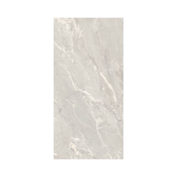 Livorno Silver 12x24 Matte tile