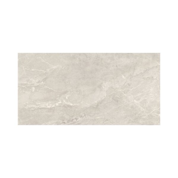 Livorno Silver 24x48 Polished tile