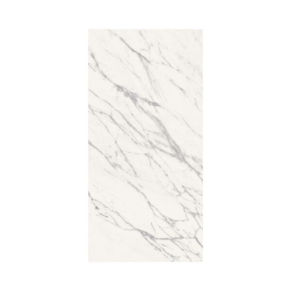Livorno Venatino 12x24 Matte tile