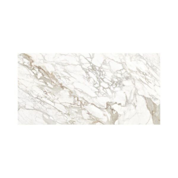 Luca Grey 24x48 Polished tile