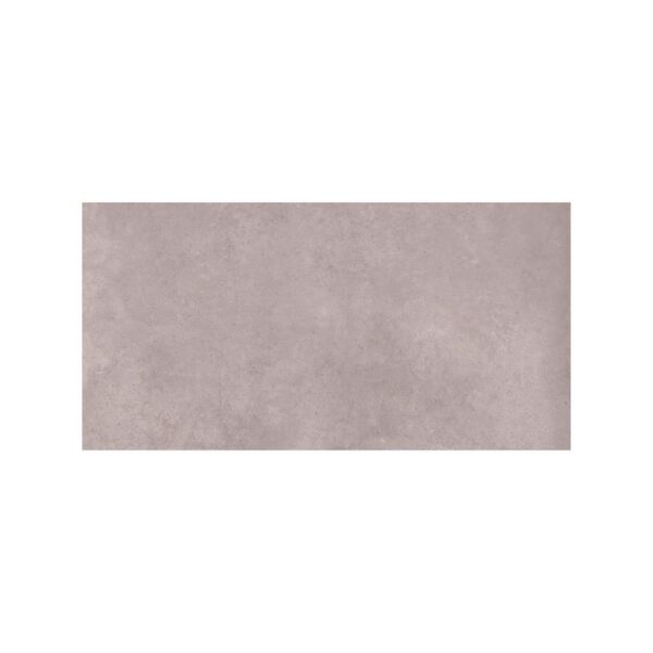 Matte Greige 24x48 Matte tile