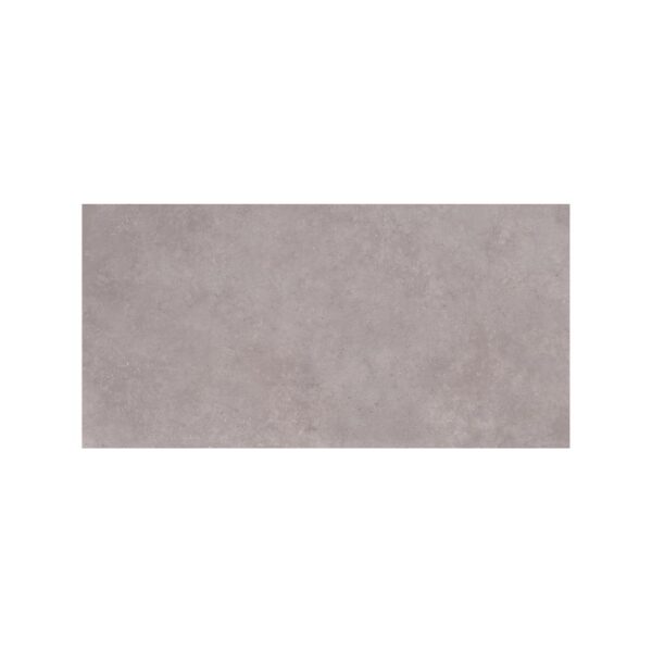 Matte Silver 24x48 Matte tile