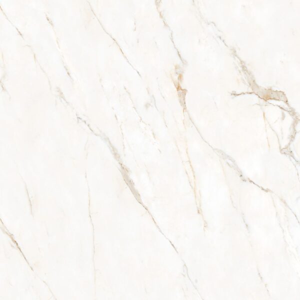 Mega Calacatta Oro 48x48 Honed Matte tile