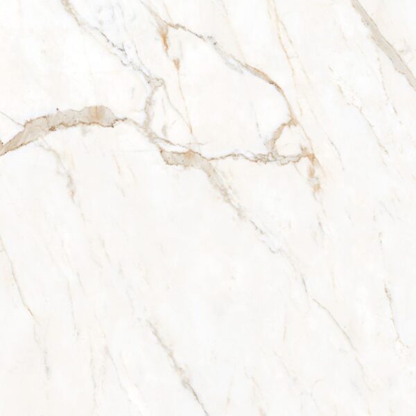 Mega Calacatta Oro 48x48 Polished tile