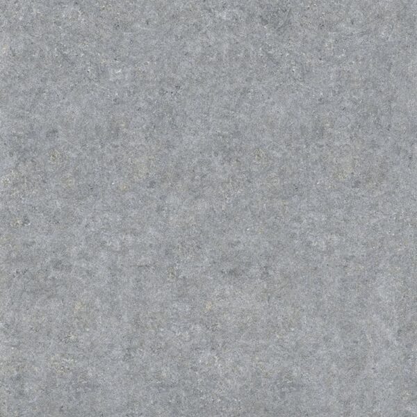 Mega Shell Beach 48x48 Honed Matte tile