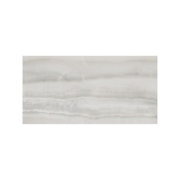 Onyx Silver 24x48 Polished tile