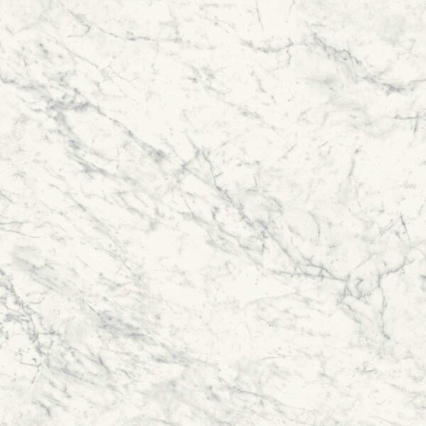 National National Carrara 24x24 tile