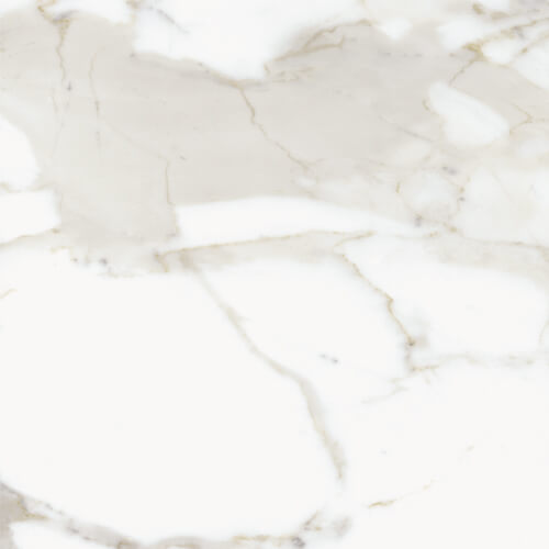 Pietra Santa Calacatta 16x16 Matte tile