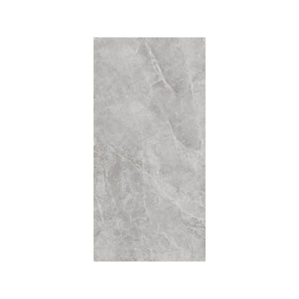 Portofino Grigio 12x24 Matte tile