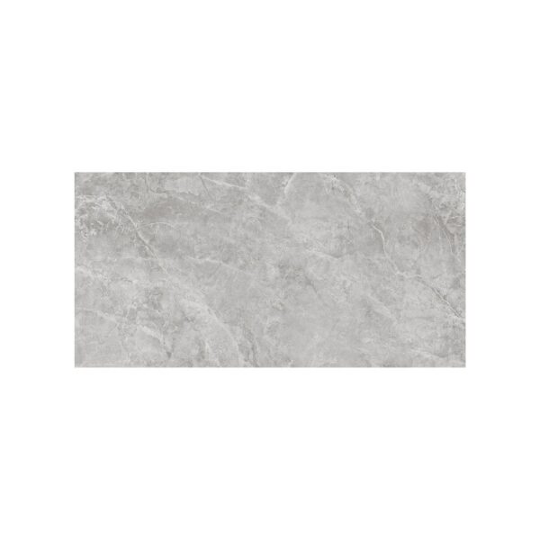Portofino Grigio 24x48 Polished tile