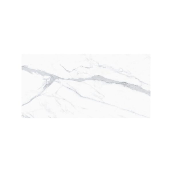Portofino Venato 24x48 Polished tile