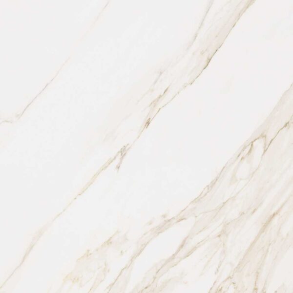 Pura Calacatta 48x48 Matte tile