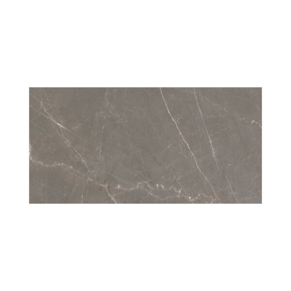 Renaissance 2 Bronze Amani 24x48 Polished tile