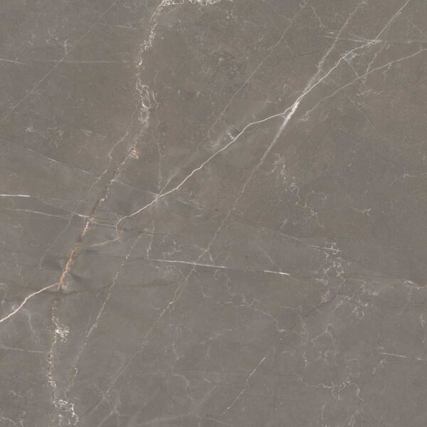 Renaissance 2 Bronze Amani 48x110 Polished tile