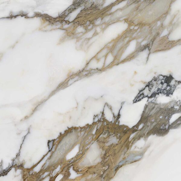 Renaissance 2 Macchia Antica 48x110 Polished tile