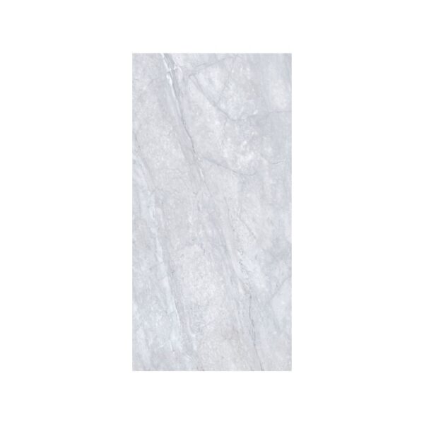 Renaissance Bardiglio 24x48 Polished tile