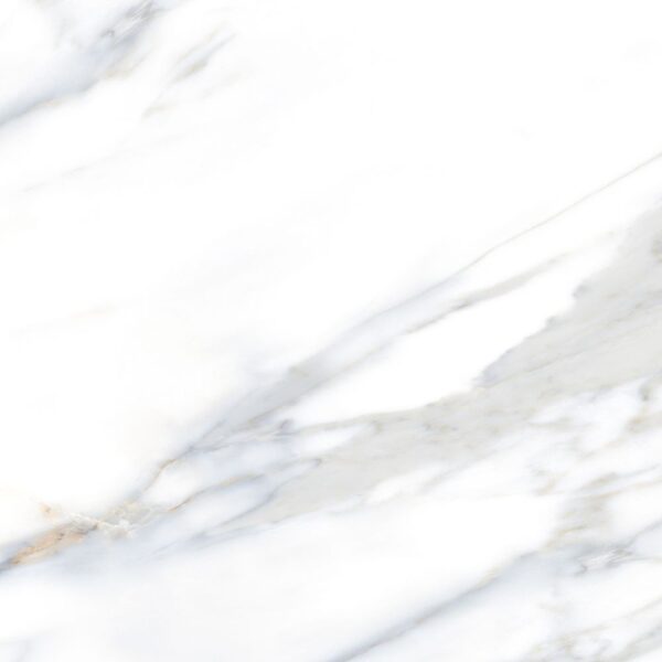 Renaissance Calacatta 24x24 Matte tile