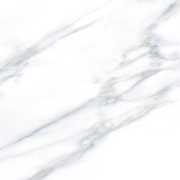 Renaissance Calacatta 24x24 Polished tile