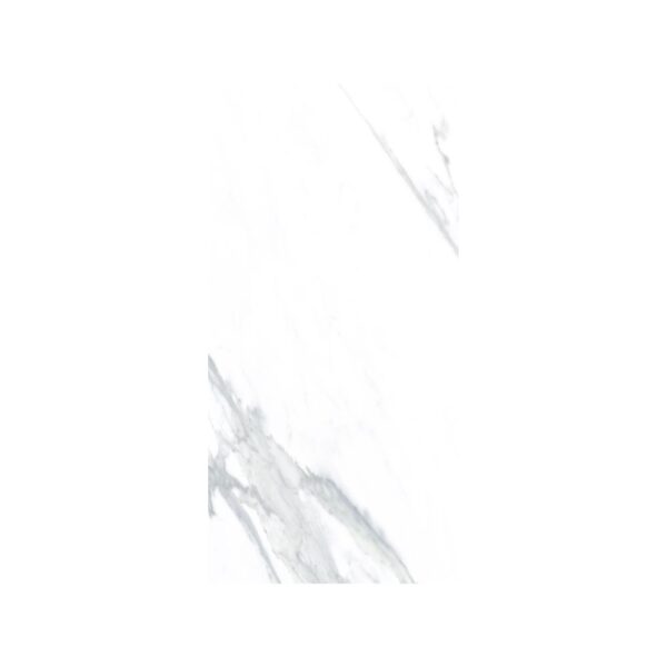 Renaissance Calacatta 24x48 Polished tile