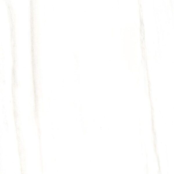 Renaissance Dolomite 24x24 Matte tile