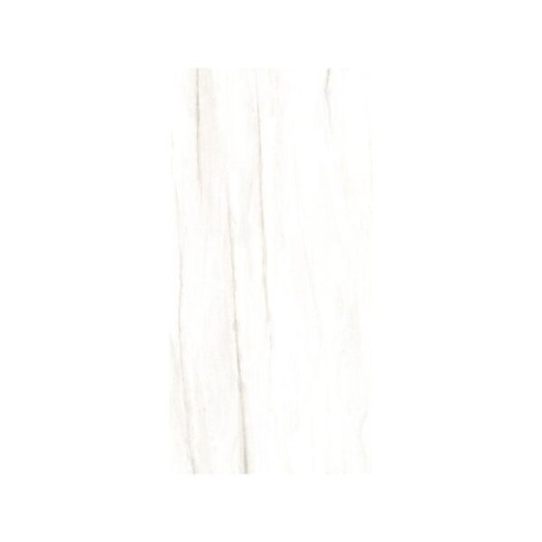 Renaissance Dolomite 24x48 Matte tile