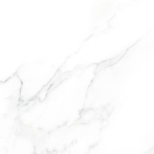 Renaissance Statuario 24x24 Matte tile