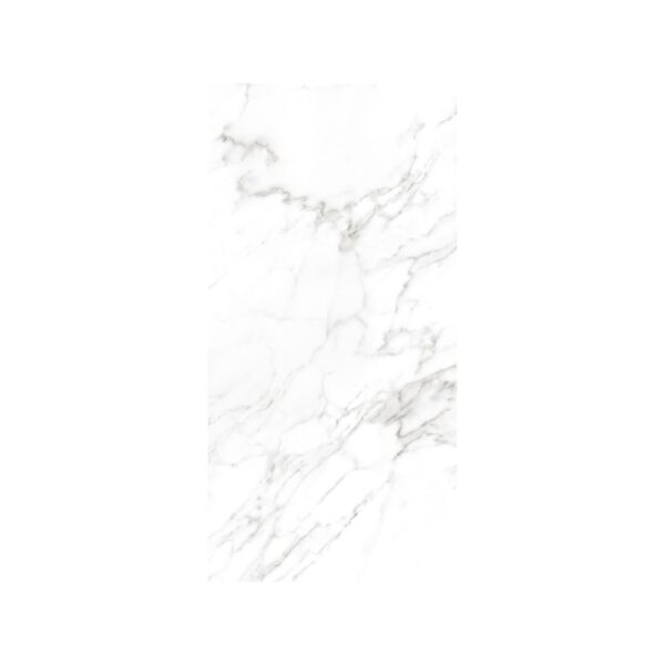 Renaissance Statuario 24x48 Matte tile