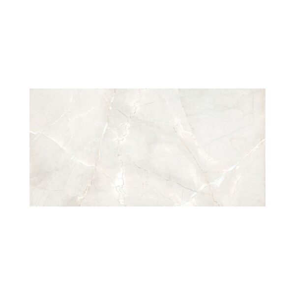 Santa Magdalena Bianco 24x48 Matte tile