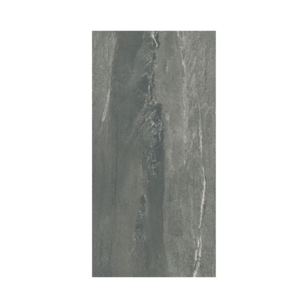 Savoie Marcel Savoie Gris 12x24 Polished tile