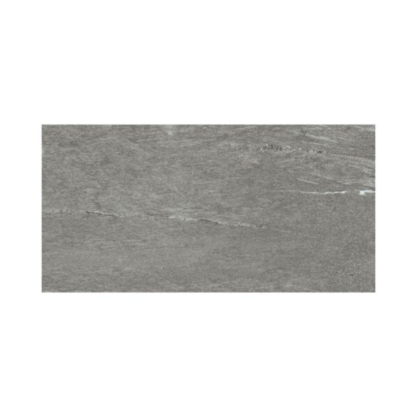 Savoie Marcel Savoie Gris 24x48 Polished tile
