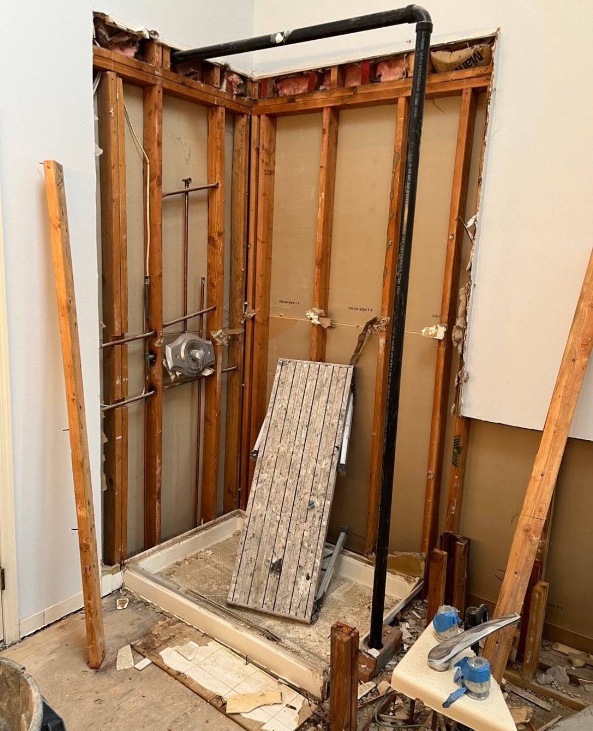 Before: the shower stripped to the studs