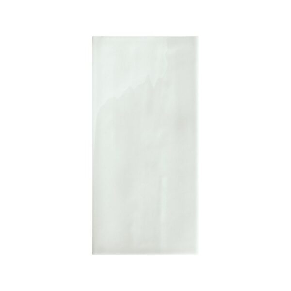 Whisper Aquamarine 2.6x5.2 Glossy tile