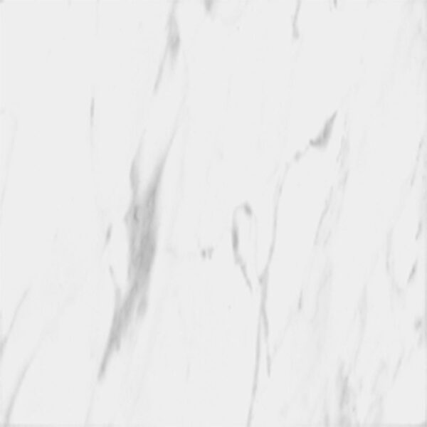 Statuario Premiere 12x12 Honed tile