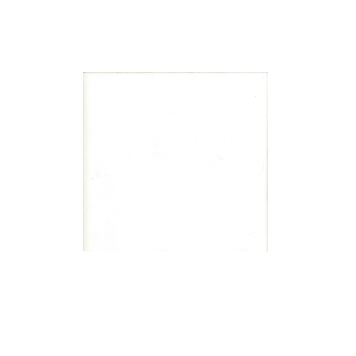 Calacatta Gold 12x12 Polished tile