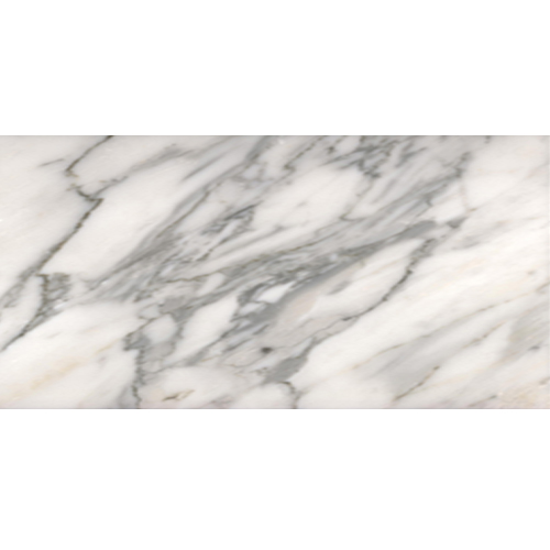 Bianco Carrara 12x24 Honed-Pps tile