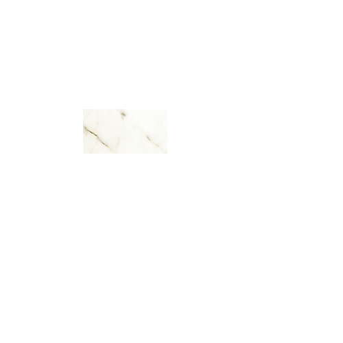 Calacatta Gold 3x6 Polished tile