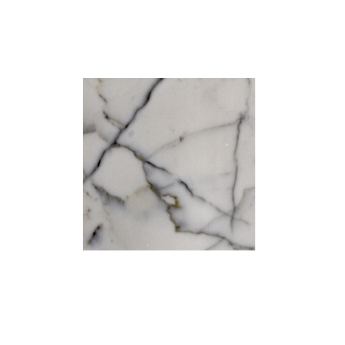 Bianco Gioia Polished 12 Polished tile
